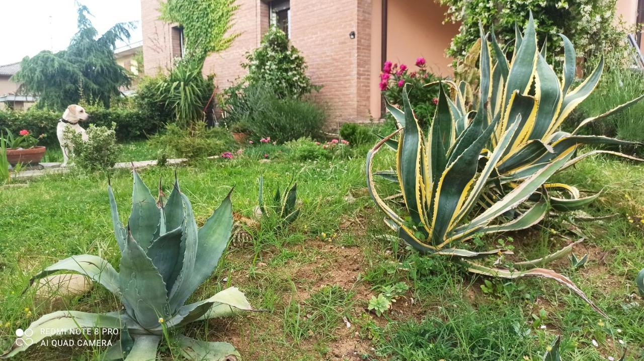 Casa Vincenzo 130 Mq Con Portico Ed Ingresso Esclusivo Dal Giardino Villa Felino Bagian luar foto