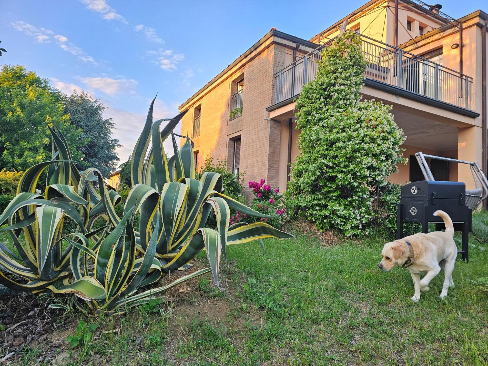 Casa Vincenzo 130 Mq Con Portico Ed Ingresso Esclusivo Dal Giardino Villa Felino Bagian luar foto